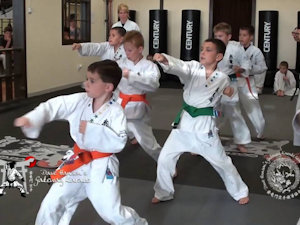 Dave Hansen's Gateway Karate